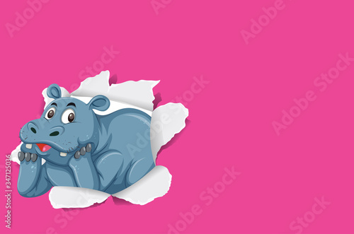 Background template design with wild hippo on pink paper