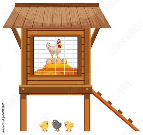 Chickens in the chicken coop on white background