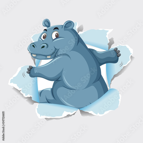 Background template design with wild hippo on gray paper © brgfx