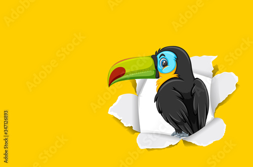 Background template design with wild toucan bird on yellow paper