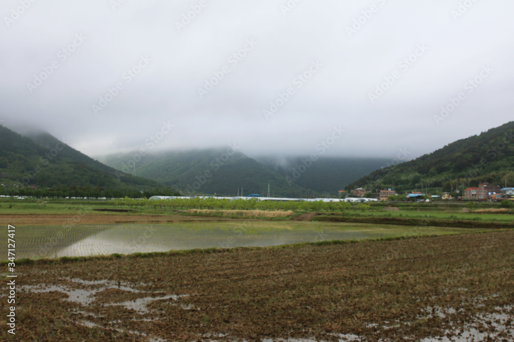 Korean countryside landscape after raining