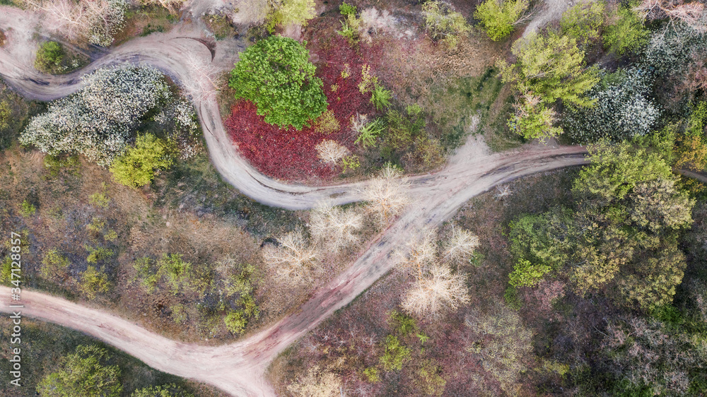 natural background.    green forest and rural road.  drone shot. aerial view