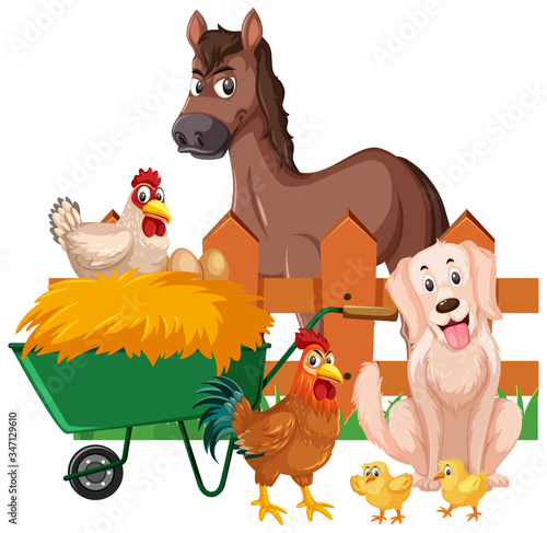 Farm animals and hay on white background