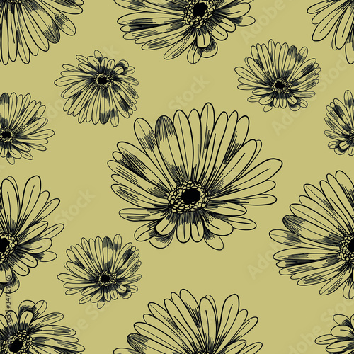 Calendula flowers pattern. marigold vector seamless pattern. Vintage floral ornament. Medical herbs eps 8 seamless pattern. Cute floristic pattern. 