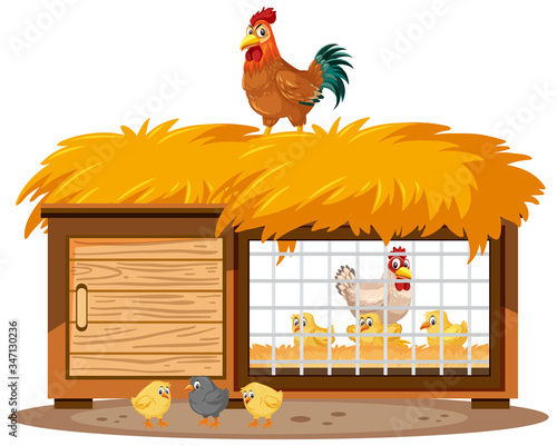 Chicken coops and chickens on white background