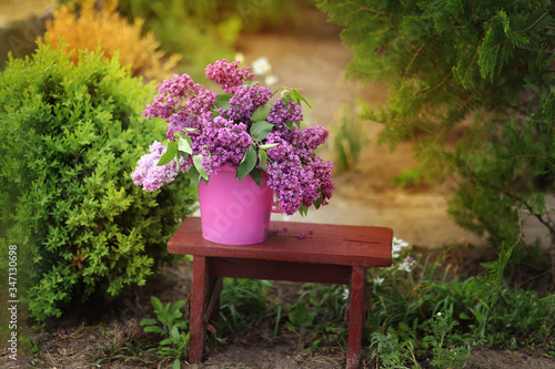 Lilac bouquet in a pink bucket. Romance
