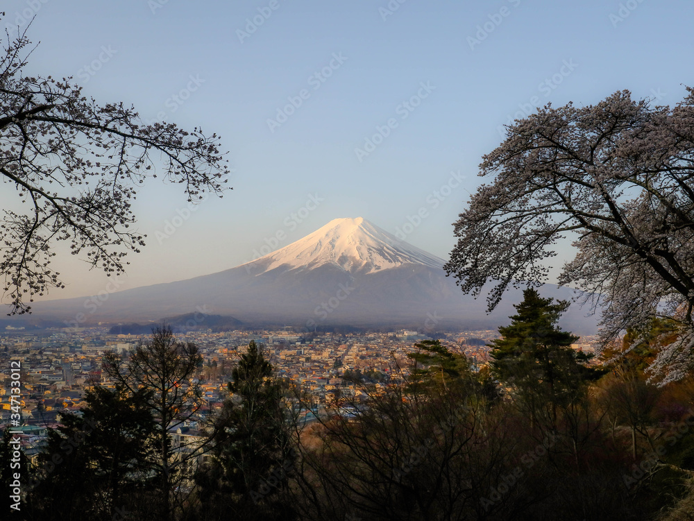 秘密の場所から撮った朝の富士山