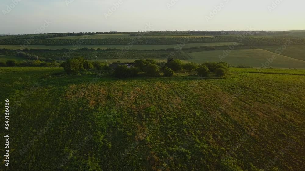 Slow Aerial shot flying over a green field during sunset Slow Aerial shot flying over a green field during sunset
