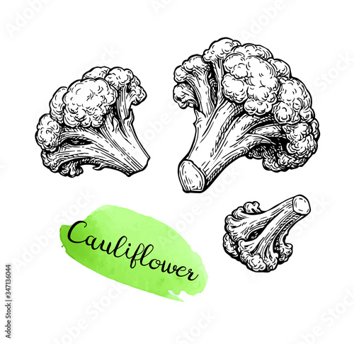 Ink sketch of cauliflower.