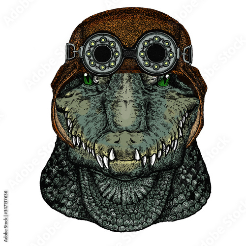 Alligator. Crocodilia. Portrait of african agressive animal. Animal wearing aviator flying leather helmet with googles.