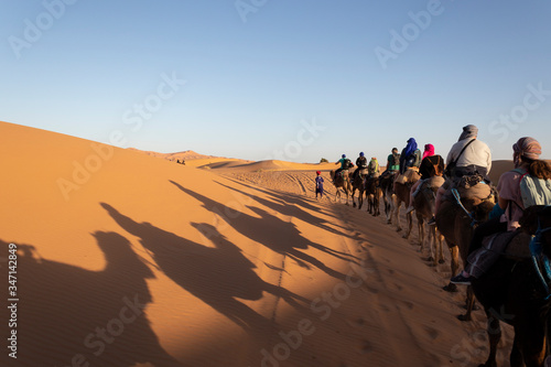Excursión Desierto del Sahara en Merzouga, Marruecos. Viaje en camello a un campamento nómada bereber.