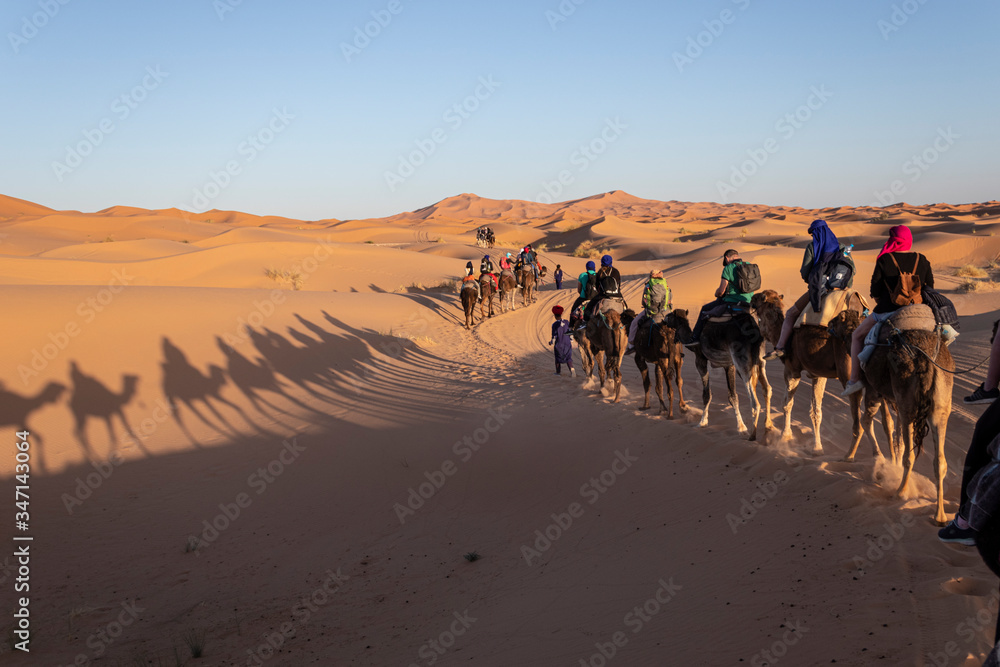 Fototapeta premium Excursión Desierto del Sahara en Merzouga, Marruecos. Viaje en camello a un campamento nómada bereber. Excursión al Sahara