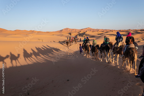 Excursión Desierto del Sahara en Merzouga, Marruecos. Viaje en camello a un campamento nómada bereber. Excursión al Sahara