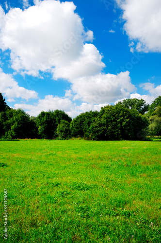spring summer landscape with meadow, green grass, blue cloudy sky, trees and bushes in bright day © starblue
