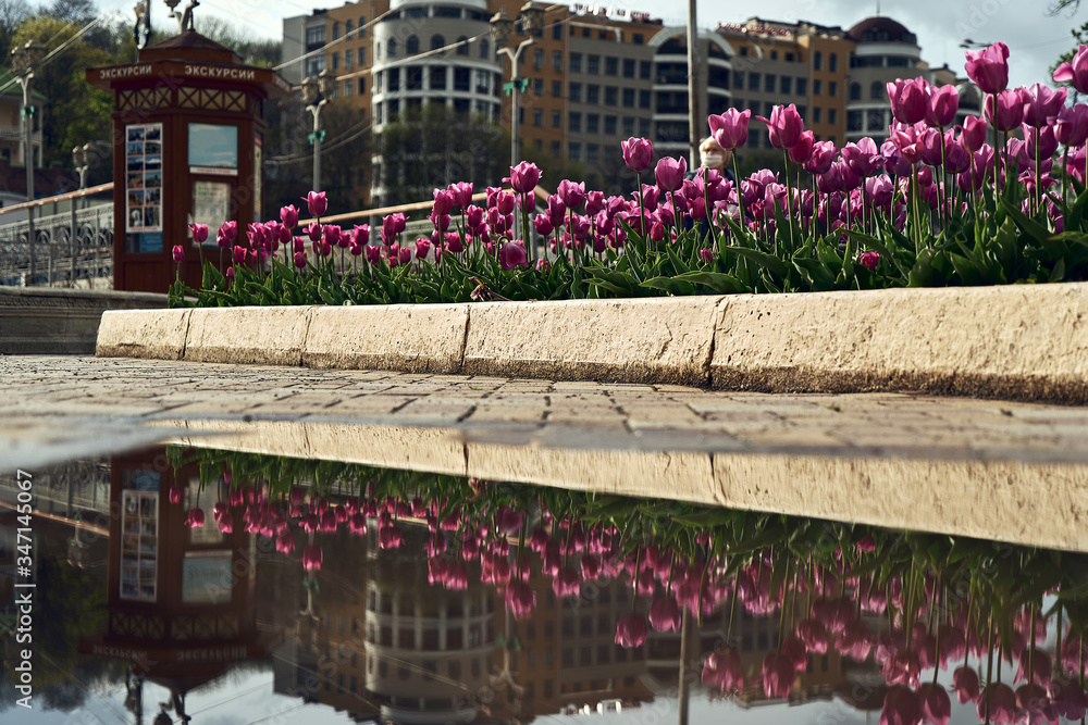 The city center of the resort Kislovodsk in Russia. Boulevard after the rain. Quarantine in Russia, empty streets of the resort town. Flowers and buildings are visible in the reflection of water