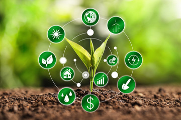 Modern technology in agriculture. Green seedling and icons
