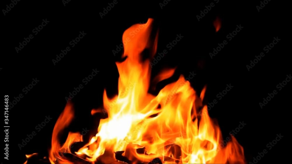 fire on black, campfire background, burning wood fire
fire on black, campfire background, burning wood fire