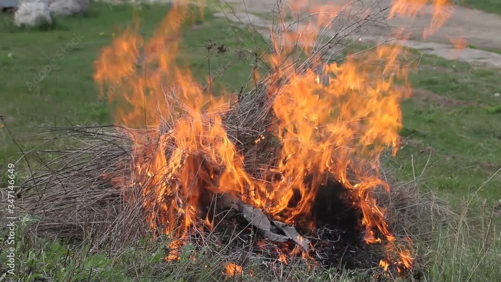 Closeup view of smoking wild fire. Large smoke clouds and fire spread. Forest and tropical jungle deforestation. Amazon and siberian wildfires. Dry grass burning. Climate change and ecology. Real fire Closeup view of smoking wild fire. Large smoke clouds and fire spread. Forest and tropical jungle deforestation. Amazon and siberian wildfires. Dry grass burning. Climate change and ecology. Real fire