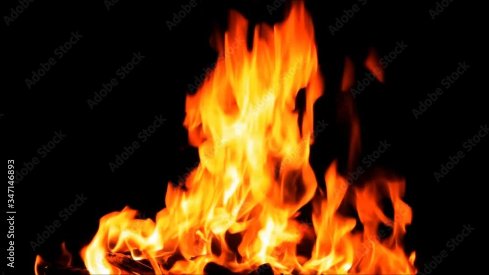 fire on black, campfire background, burning wood fire
fire on black, campfire background, burning wood fire