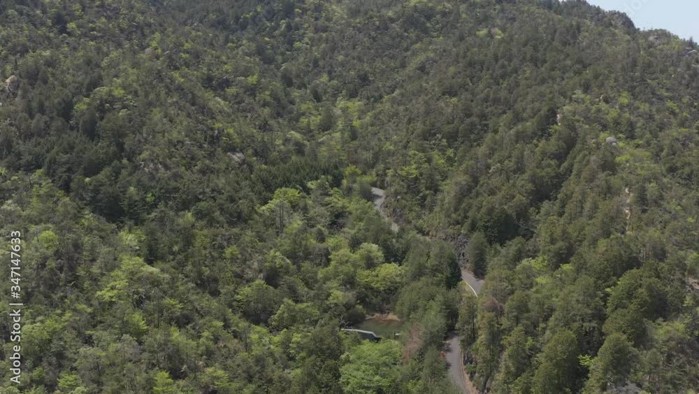 Aerial shot of Konze Alps mountain with road leading through forest