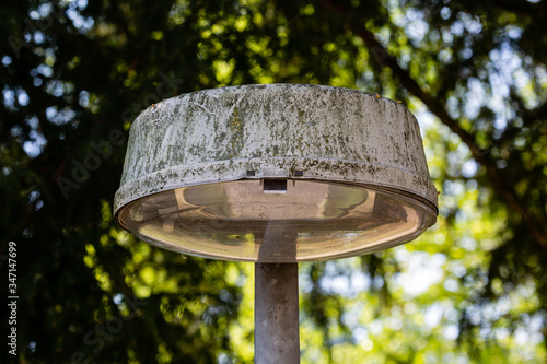 Old diry street lamp under tree photo