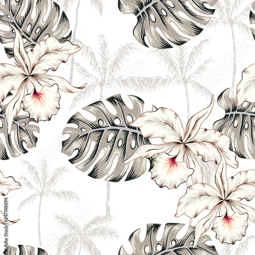 Tropical orchid flowers, monstera leaves, palm trees, white background. Vector seamless pattern. Jungle foliage illustration. Exotic plants. Summer beach floral design. Paradise nature