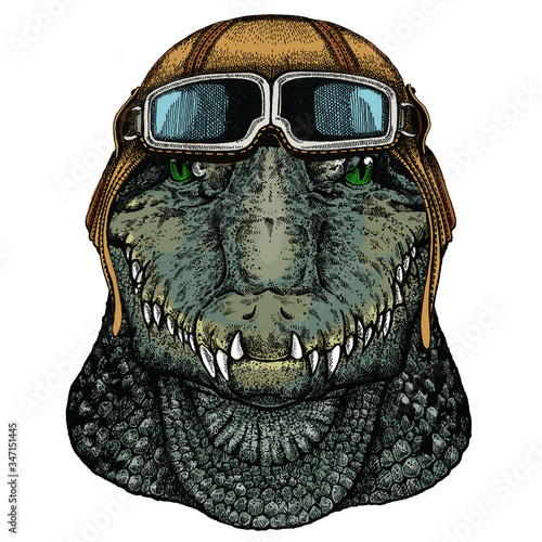 Alligator. Crocodilia. Portrait of african agressive animal. Vintage aviator helmet with googles.