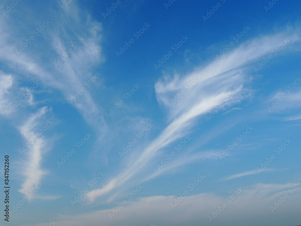 Obraz premium 青空と雲