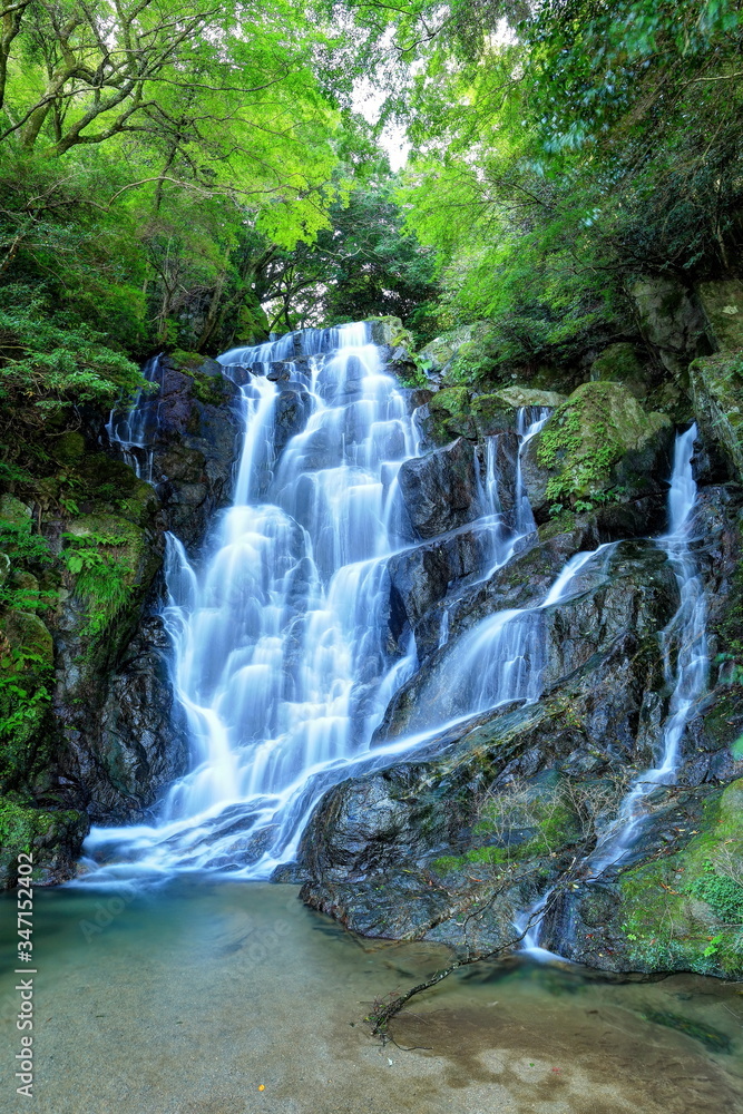 Naklejka premium 福岡・白糸の滝