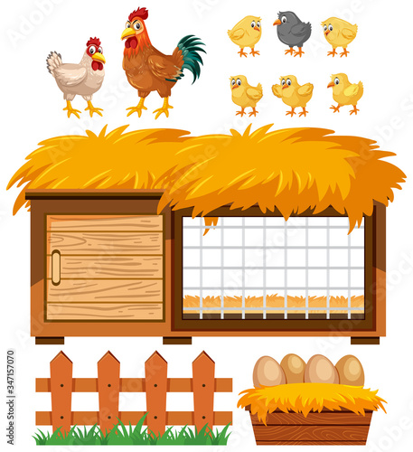Chicken coop and many chickens on white background