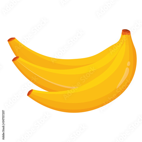 Bunch of fresh bananas vector illustration. Isolated on white background. Healthy food concept. Yellow banana icon.