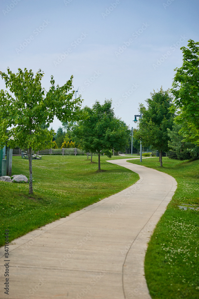 Green city Park on a Sunny summer day Green city Park on a Sunny summer day