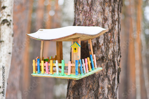 birdhouse on a tree