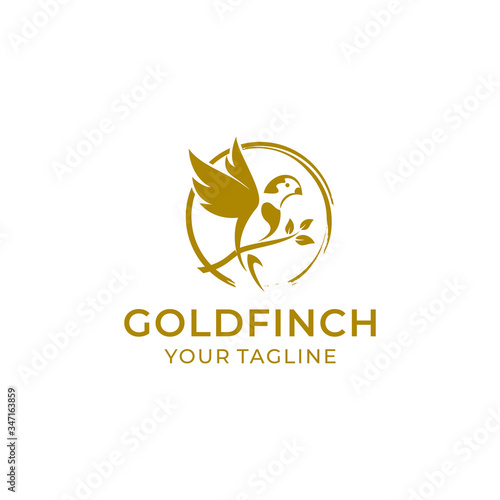 Obraz na płótnie goldfinch logo vector design template
