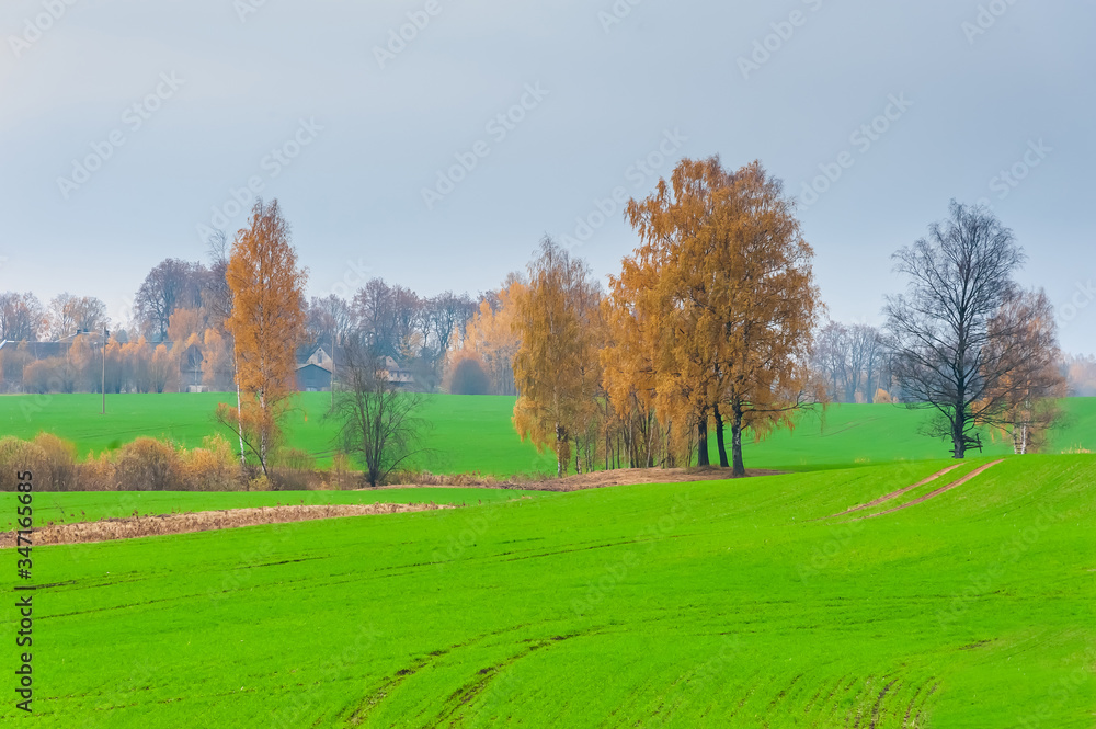 autumn time in fields countryside with green grass