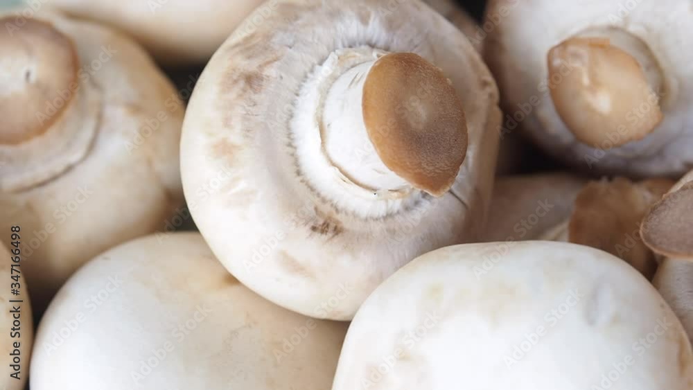 Raw champignons rotate. Background of mushrooms Close up. Raw champignons rotate. Background of mushrooms Close up.
