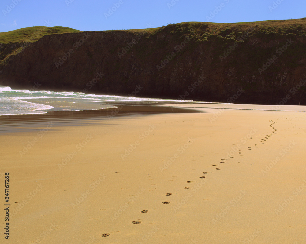 Footprints on the sand of a wild beach in Otago Peninsula,New Zealand