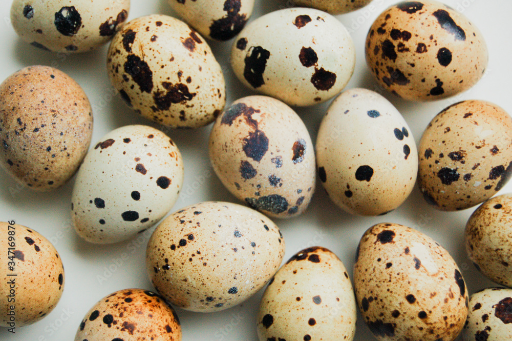 quail eggs on white