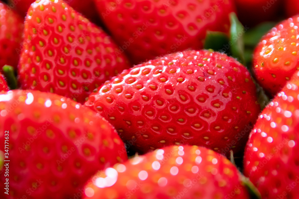 Frische Erdbeeren in Bioqualität sind reif für gesunde Ernährung mit Obst und Diät in Nahaufnahme als süßes Dessert, reife Früchte im Obstsalat oder gesunder Snack für zwischendurch in Erdbeerschale Frische Erdbeeren in Bioqualität sind reif für gesunde Ernährung mit Obst und Diät in Nahaufnahme als süßes Dessert, reife Früchte im Obstsalat oder gesunder Snack für zwischendurch in Erdbeerschale