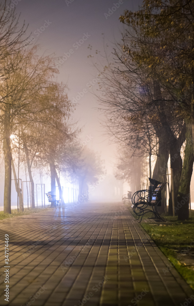 Obraz premium Street of a night city in wet cold rainy weather 