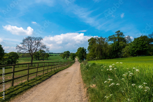 country road in the countryside in Spring