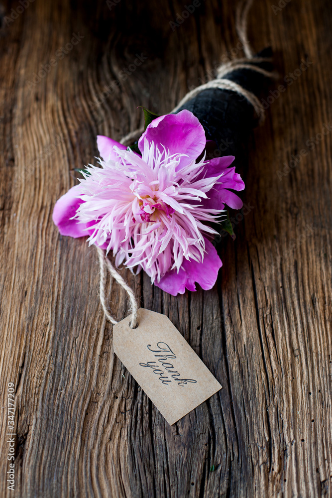 thanks. - a flower of pink peony in a cone with a