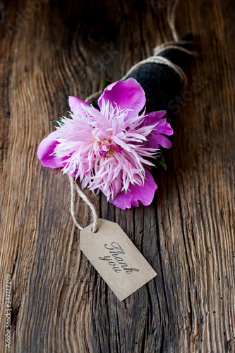 Obraz na płótnie thanks. - a flower of pink peony in a cone with a