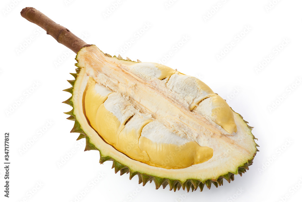 Fototapeta premium Durian is an economic fruit. Sold to all over the world
