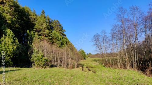 bad road near the forest through a green meadow against the blue sky on a sunny day