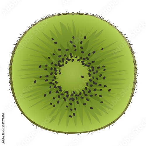 Cutted kiwi icon. Cartoon of cutted kiwi vector icon for web design isolated on white background