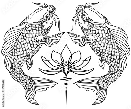 two koi carp fishes and water lily flower. Tattoo. Black and white vector illustration