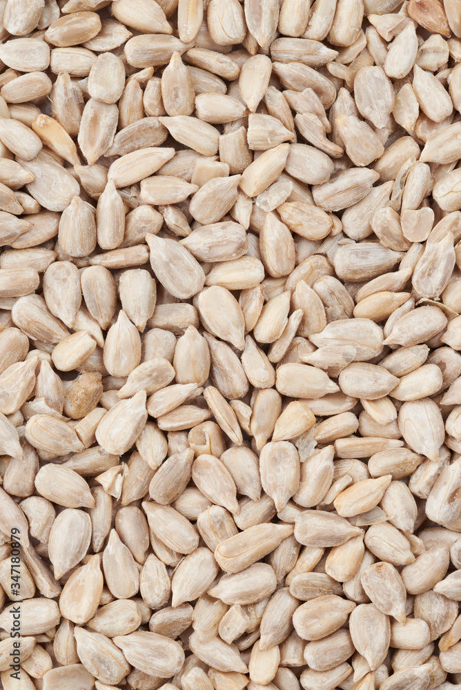 Sunflower seeds Infinite properties of small seeds Sunflower seeds Infinite properties of small seeds