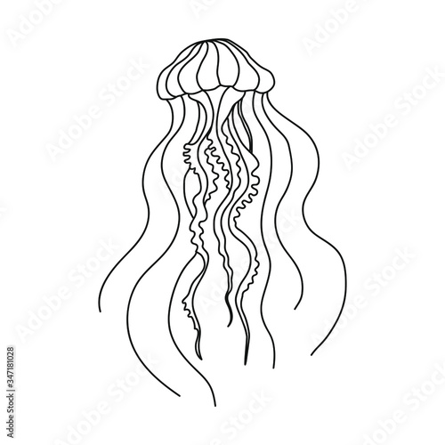 Vector sea jellyfish isolated on white background. Outline jellyfish for coloring books, web, cards.
