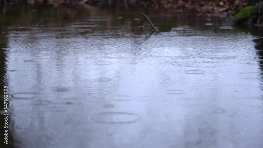 Drops of rain crash against water surface of a puddle - closeup Drops of rain crash against water surface of a puddle - closeup